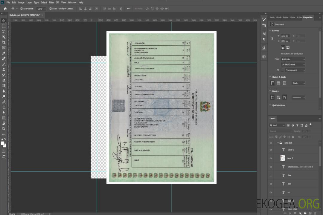 TANZANIE Acte de naissance, version 2 template